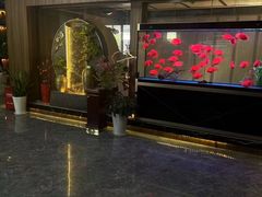 -臻享养生·SPA·影院式足道(汇臻店)