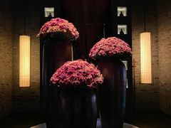 -三亚太阳湾柏悦酒店
