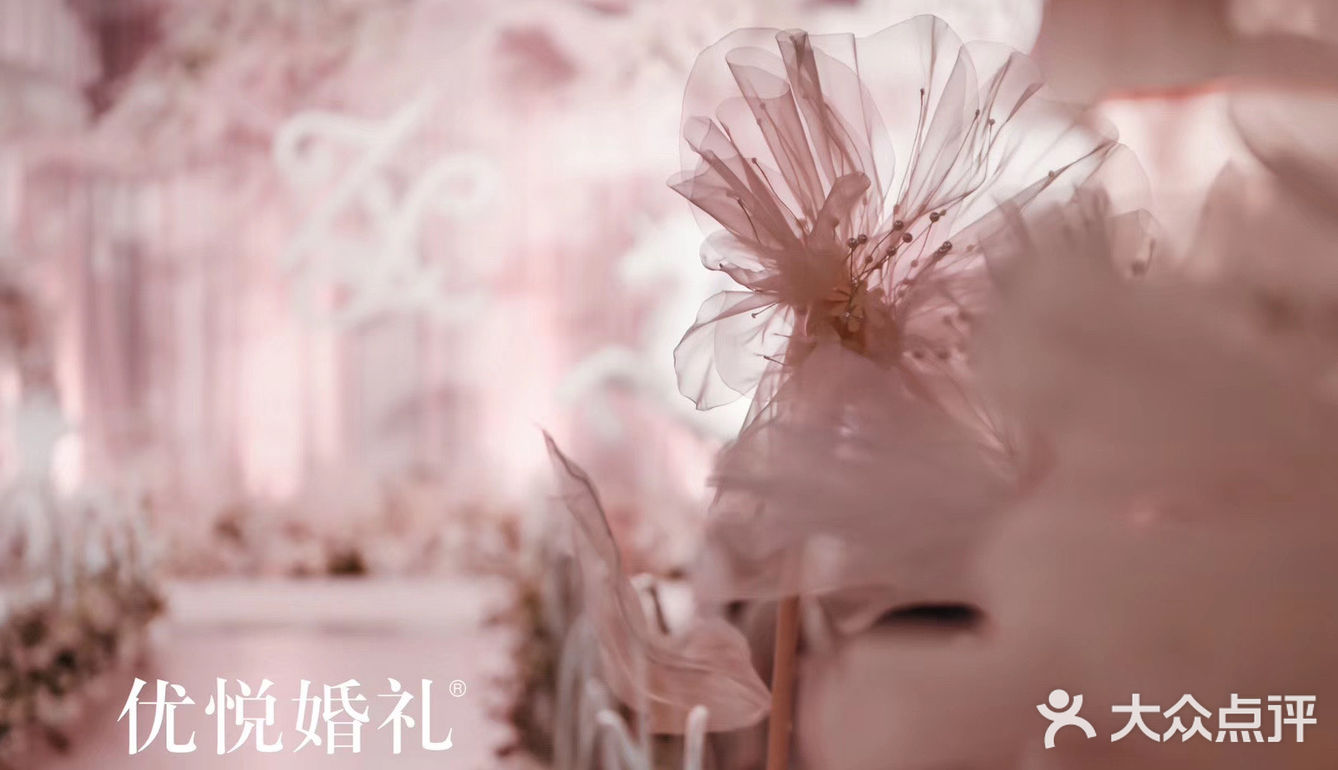 做我的小公主,给你圆最满的少女心|🥰天津婚礼