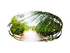 -那琴半岛地质海洋公园