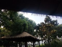 -圩墩遗址公园