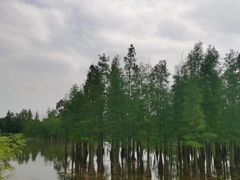 -白鹭湾湿地公园