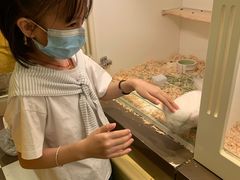 -龙猫仔乐园(惠福东路店)