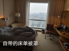 -上海浦东康桥绿地假日酒店