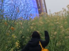 -中国天府农业博览园