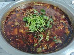 -彭大姐老店黄辣丁(新津店)