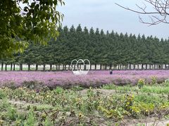 -嘉北郊野公园