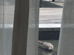 -杭州和达希尔顿逸林酒店·和园中餐厅-杭帮菜名店