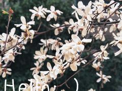 -南京晨光1865创意产业园