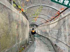 -丹东天桥沟景区