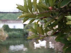 -侯臣咖啡文化村