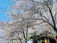 -堤角公园