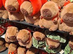 -酷乐潮玩(五道口购物中心店)