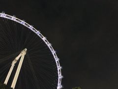 -新加坡摩天观景轮
