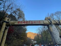 -五女峰国家森林公园