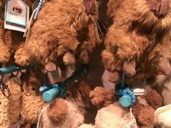 -JOYCODE(西单大悦城店)