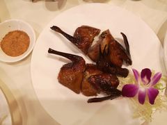 -白云中餐厅·粤菜·亚龙湾喜来登度假酒店