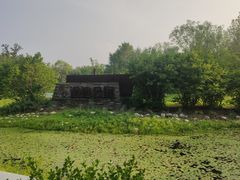-东郊湿地公园