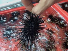 -南蚝小贝海鲜特色餐厅(南澳岛店)