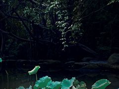 -燕晗山郊野公园