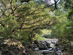 -广州市石门国家森林公园