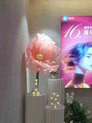 -深圳鹏爱秀琪医疗美容医院