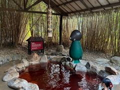 -森波拉火山温泉