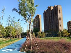 -坝河休闲公园