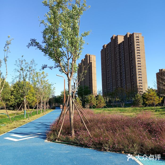 坝河休闲公园图片