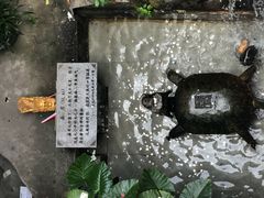 -汴河街