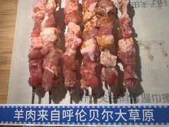 -很久以前羊肉串(朝阳路店)