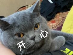 -心仪动物医院·牙专科·肿瘤·心脏科(西客站院)