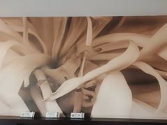 -国家会议中心大酒店