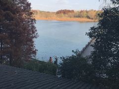 -溱湖国家湿地公园