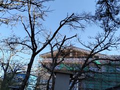 -黄山北海宾馆