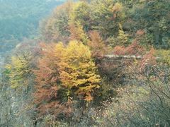 -山西通天峡景区