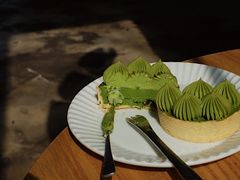 -猫里有甜