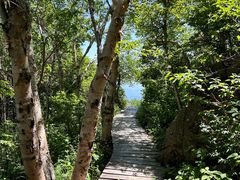 -白草畔自然风景区