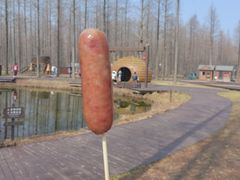 -黄海国家森林公园