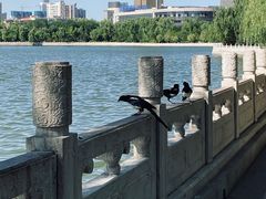 -迎泽公园