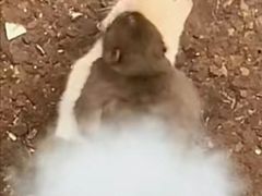 -昆明动物园