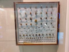 -哈尔滨师范大学(松北校区)