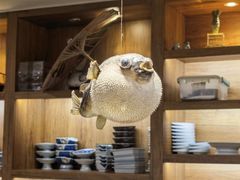 -天正河鲀·河豚亭(大连店)