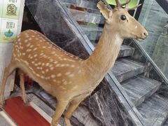 -秦园酒楼(水岸星城店)