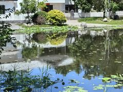 -稻香湖公园