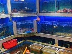 -东江海鲜大排档·潮汕菜·砂锅粥