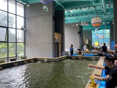 -桃源乐钓虾馆(松岗概念店)