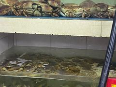 -马王堆海鲜水产市场