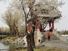 -老家肉饼(永泰庄店)