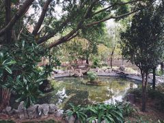 -九龙寨城公园